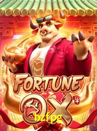 BZFPG.COM